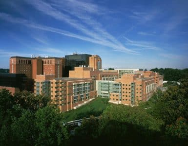 Albany Medical College Mission Statement Analysis Featured Image by National Cancer Institute